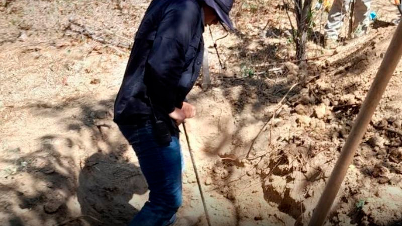 Localizan al menos 100 restos óseos en fosa de Baja California Sur 