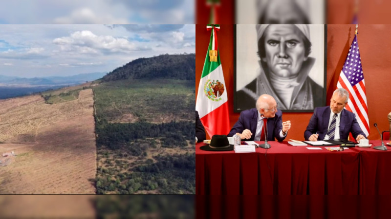 En 5 años deforestan 30 millones de hectáreas en Michoacán; EEUU va contra exportación de aguacate ilegal: Embajador 