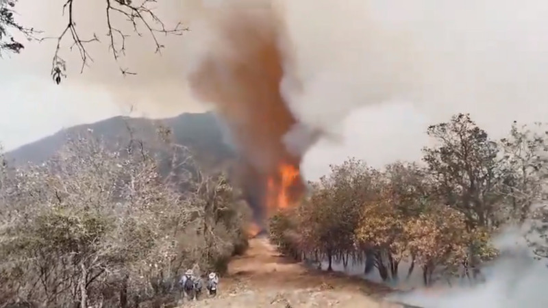 Gobierno de Oaxaca informa que incendio forestal se combate por 2 frentes 