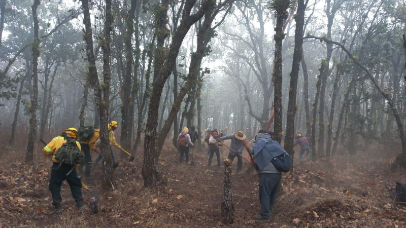Controlan al 90% incendio forestal en San Lucas Quiaviní, Oaxaca