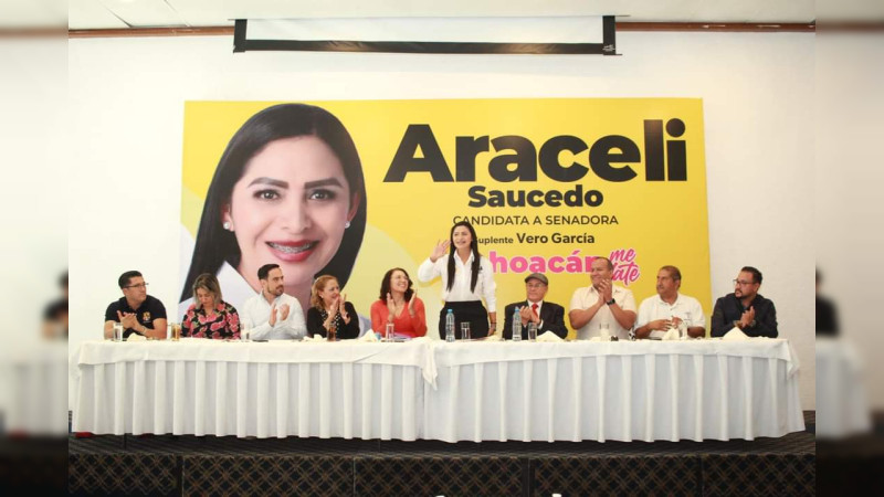 Desde Legislativo Federal, Michoacán jugará un papel protagónico para la salud en México: Araceli Saucedo 