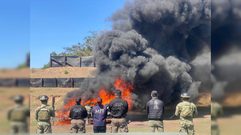 Destruyen en Michoacán 500 millones de pesos en droga colombiana 