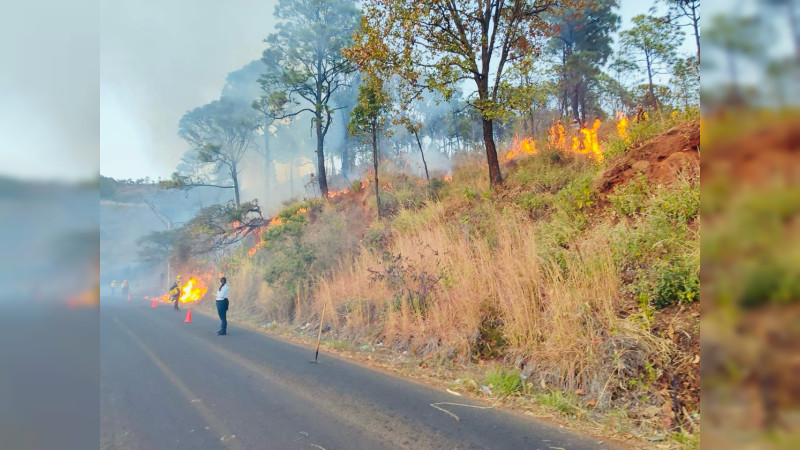 Realizan quema controlada para prevenir incendios en carretera Uruapan-Zirimícuaro 