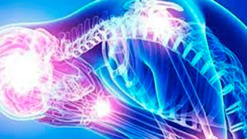 Tlaxcala emite alerta epidemiológica por aumento de casos de Síndrome de Guillain Barré 