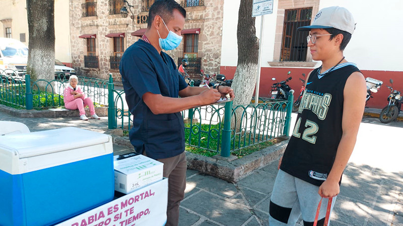 En marzo, vacunación antirrábica a perros y gatos en Morelia: SSM