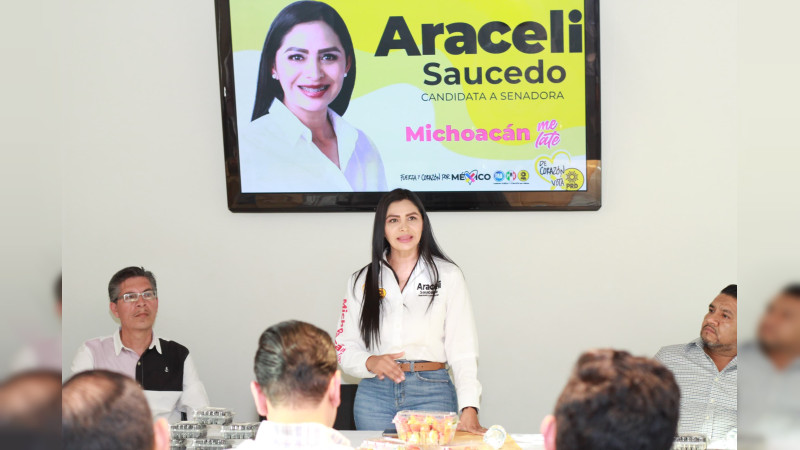 Vamos por una visión integral que potencie el desarrollo regional: Araceli Saucedo 