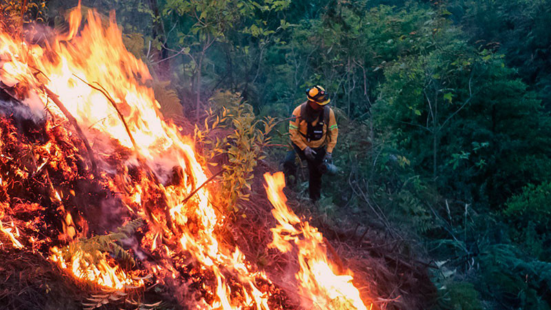 Uruapan: Brigadistas municipales inician primera fase de quemas controladas en el Cerro de la Cruz