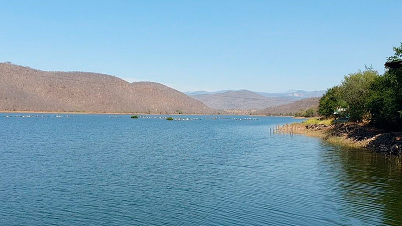 Pesca en la reserva de la biósfera Zicuirán Infiernillo en declive: biólogo  