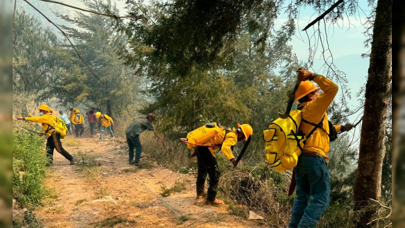 Incendio forestal ha consumido 80 hectáreas en Pinal de Amoles, Querétaro
