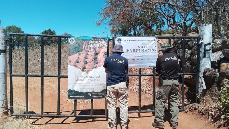 Aseguran predio por delitos ambientales en Tzintzuntzan, Michoacán 