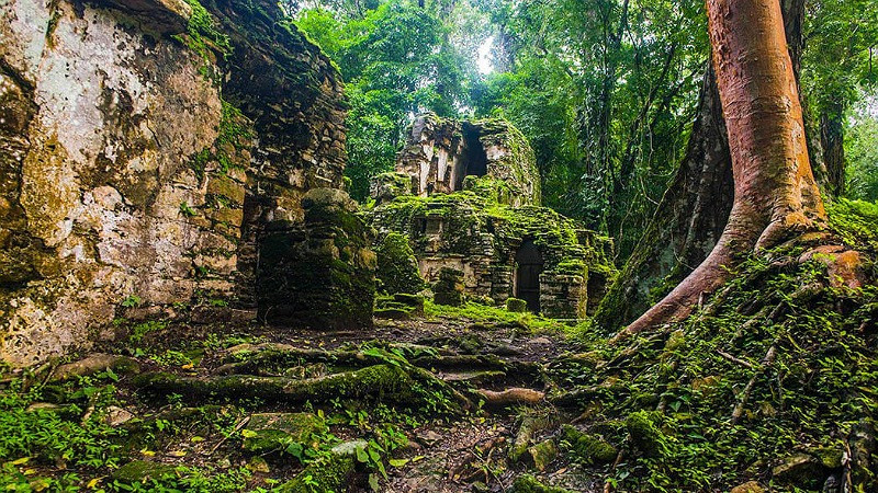 Reabrirán zona arqueológica de Yaxchilán tras cierre por presencia de grupos armados 