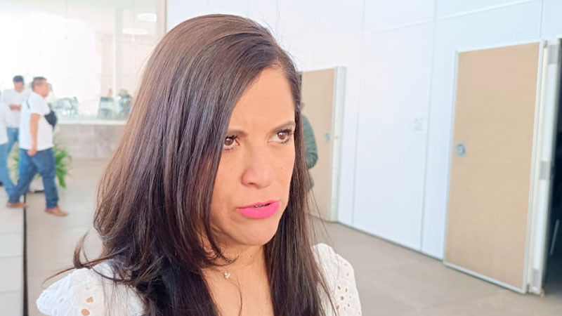 Instituto Electoral Michoacán informa que hay pocas de renuncias de capacitadores  