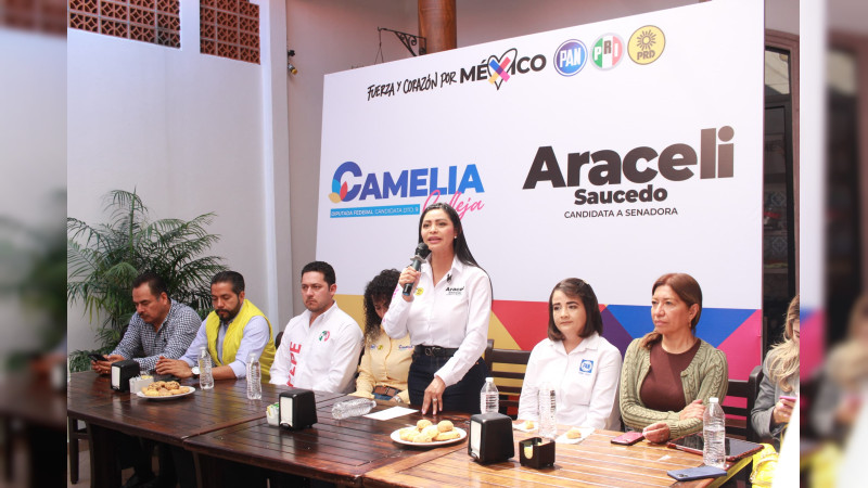Urgente garantizar seguridad para la producción en Michoacán: Araceli Saucedo