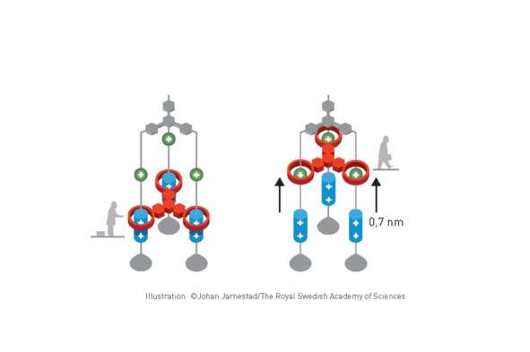 Creadores de máquinas moleculares ganan el Premio Nobel de Química 2016 