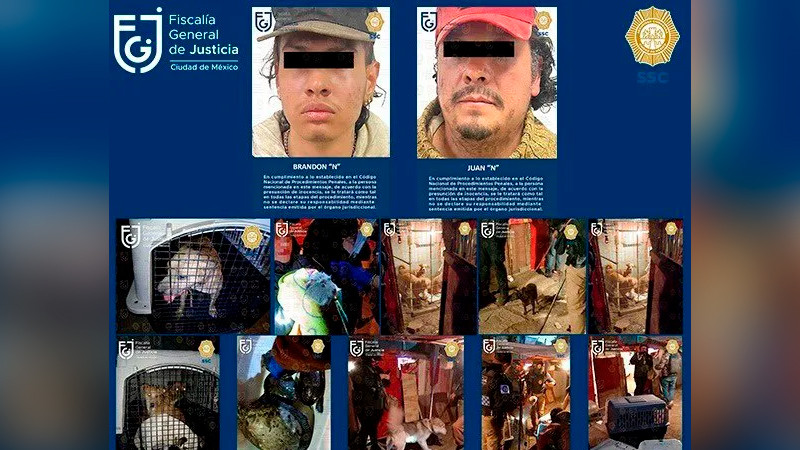 Rescatan a perros, tortugas y un cuyo, en Xochimilco; hay dos detenidos 