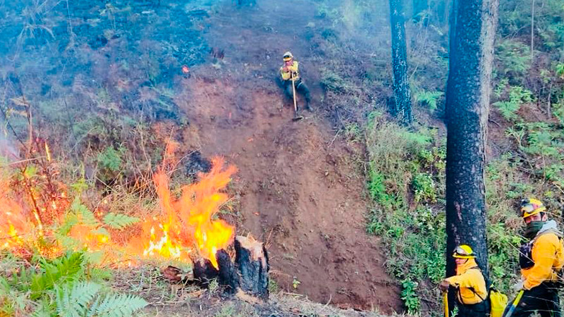 Realizan tercera fase de quema controlada en el Cerro de la Cruz en Uruapan