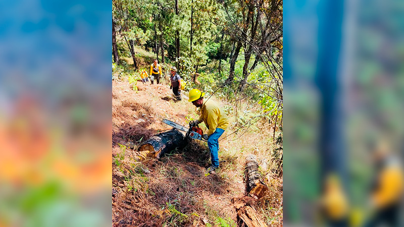Realizan tercera fase de quema controlada en el Cerro de la Cruz en Uruapan