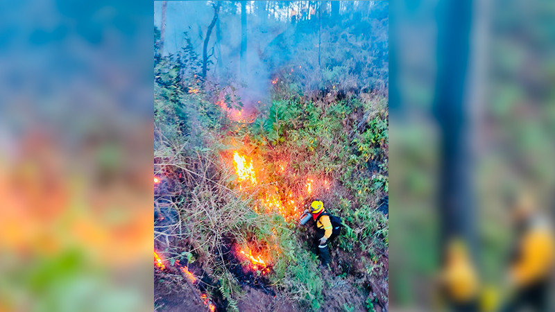 Realizan tercera fase de quema controlada en el Cerro de la Cruz en Uruapan