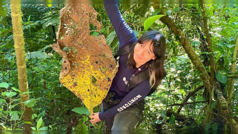 Estudiante michoacana se abre paso en Biología Tropical y Conservación 