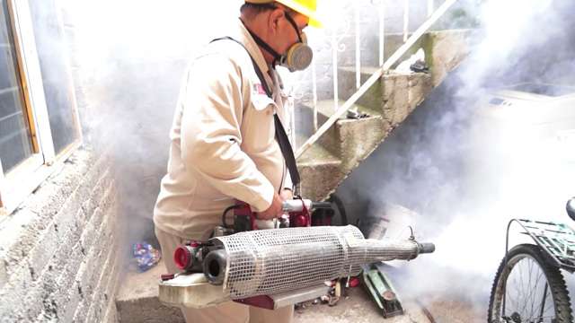SSM mantiene acciones preventivas contra dengue, chikungunya y zika 