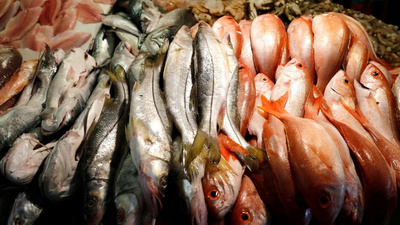 Sigue estas medidas para prevenir enfermedades gastrointestinales al ingerir mariscos 