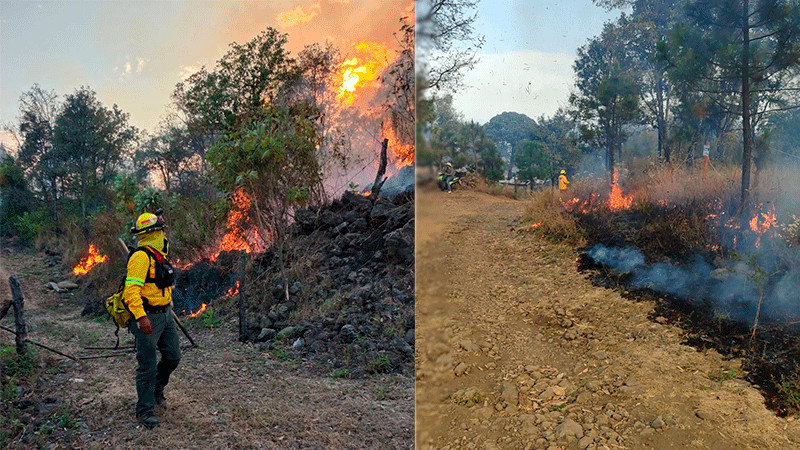 Guardabosques sofocan incendio en el área forestal del Zapién en Uruapan 