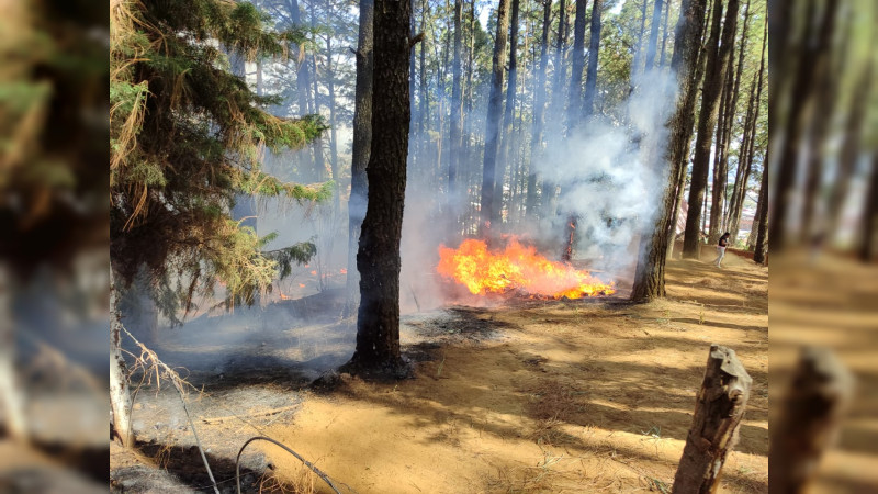 Brigadistas combaten incendios forestales en Uruapan