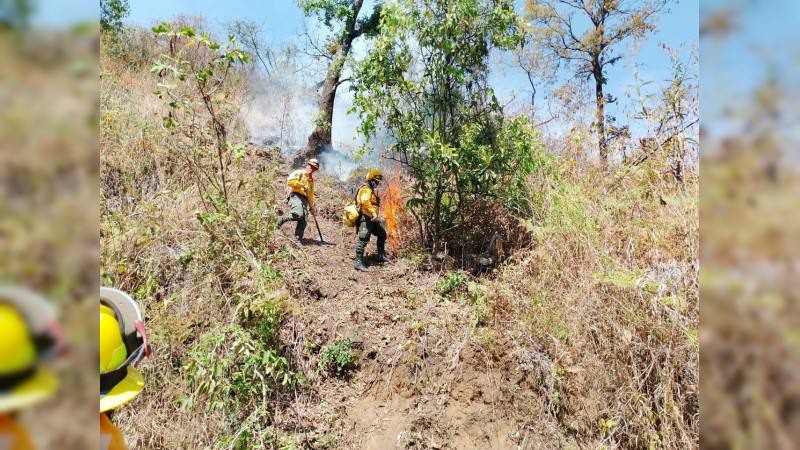 Brigadistas combaten incendios forestales en Uruapan