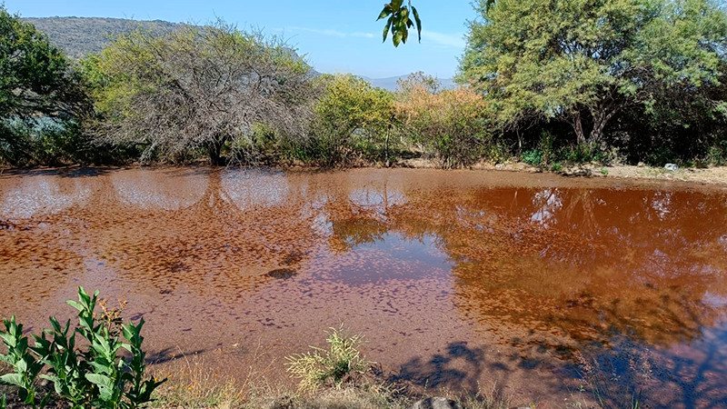 La denuncia ambiental es fundamental para cuidar el agua: Proam