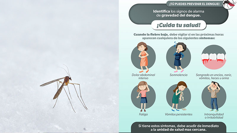 Recomienda Secretaría de Salud de Michoacán extremar precauciones ante el dengue 