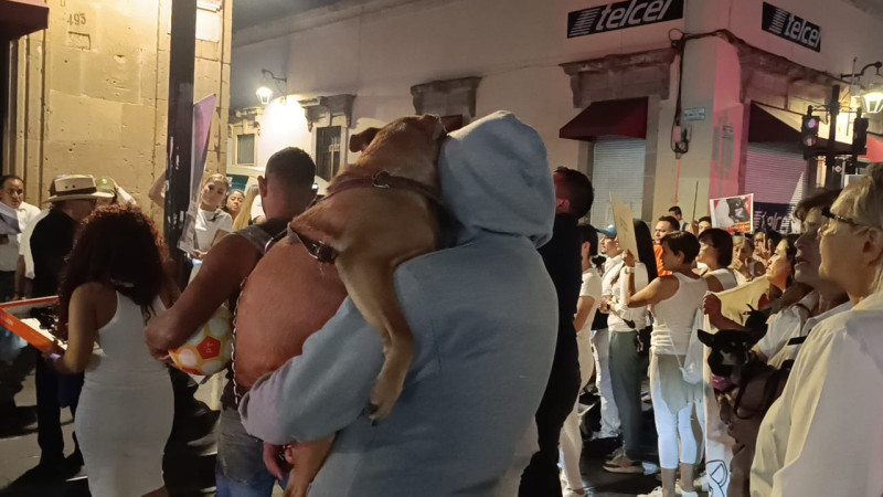 En Michoacán, animalistas exigen castigos más severos a maltratadores de animales