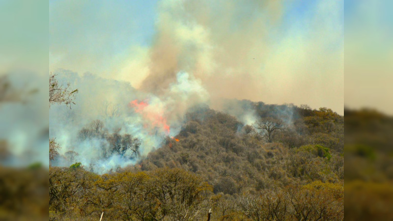 Inician sobrevuelo de dron para atender incendio en el cerro del Quinceo 