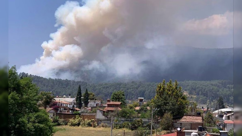 Se registra incendio forestal en zona montañosa de Veracruz 