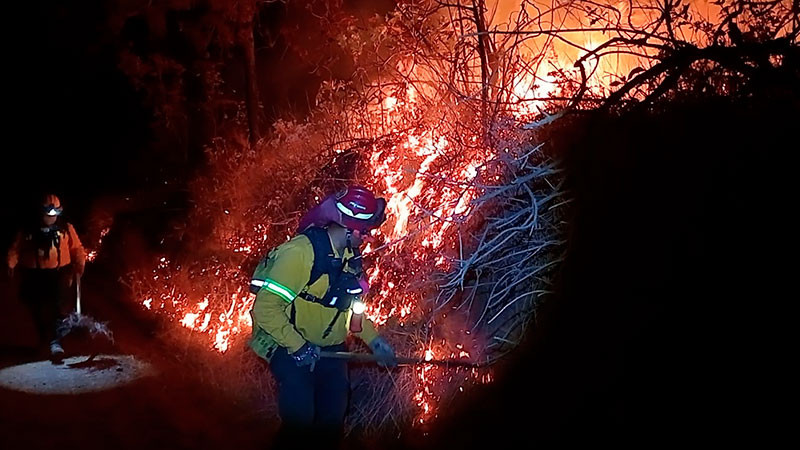 Más de 500 hectáreas afectadas por incendios en Michoacán  