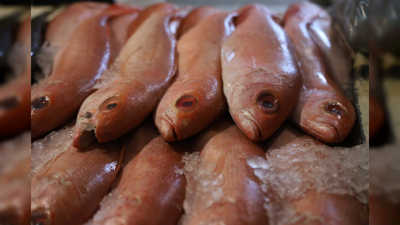 Sigue estas claves de la SSM para evitar enfermedades por alimentos en mal estado