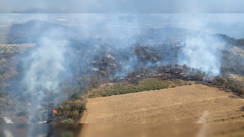 Brigadistas atienden 6 incendios forestales en Michoacán