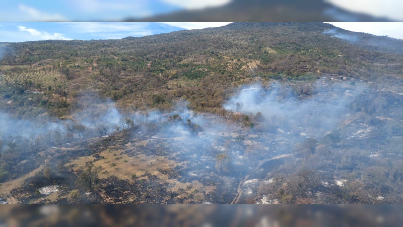 Brigadistas atienden 6 incendios forestales en Michoacán