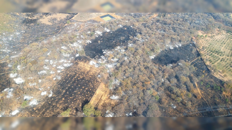 Brigadistas atienden 6 incendios forestales en Michoacán