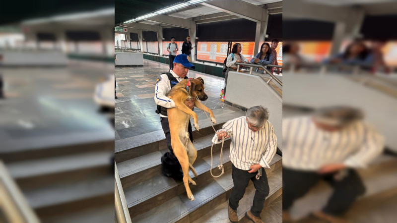 Rescatan a perrito de vías del Metro en la Línea 4 