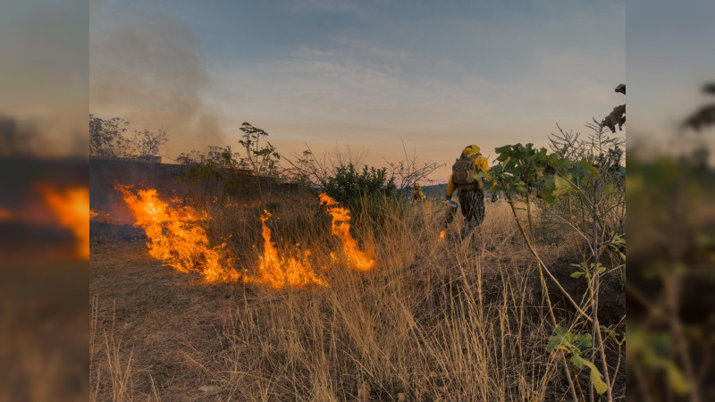 Brigadistas continúan con acciones preventivas contra incendios en Uruapan