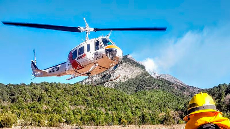 Incendio forestal devora 60 hectáreas en Nuevo León 