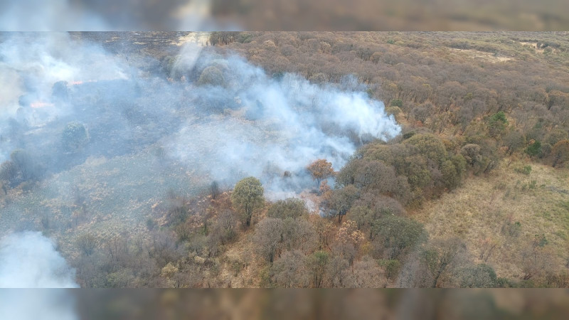 Por tierra y aire se combate incendio forestal en el cerro del Águila, en Morelia 
