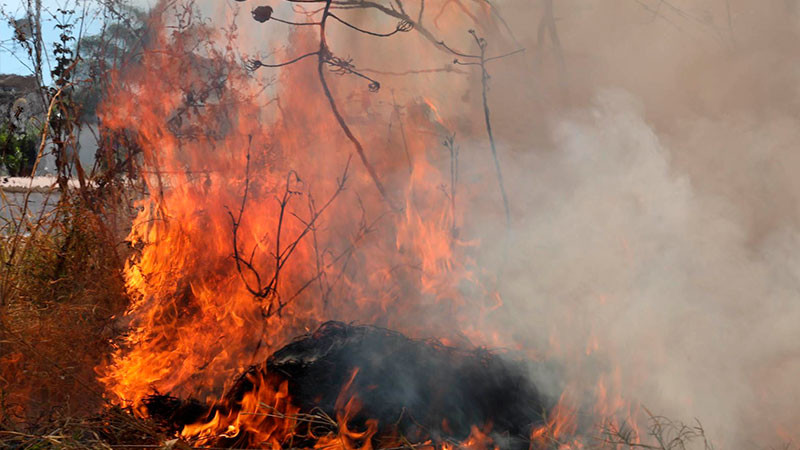 Se incendian cinco humildes viviendas en Morelia, Michoacán 