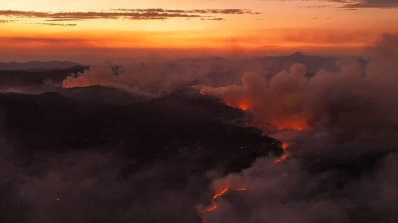 Once incendios se mantienen activos y consumen bosques de Oaxaca