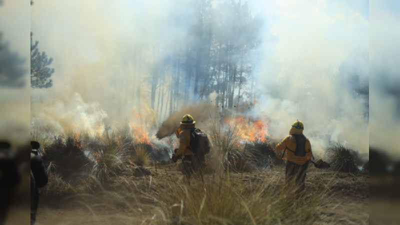 En México, 95 incendios forestales activos: Conafor 