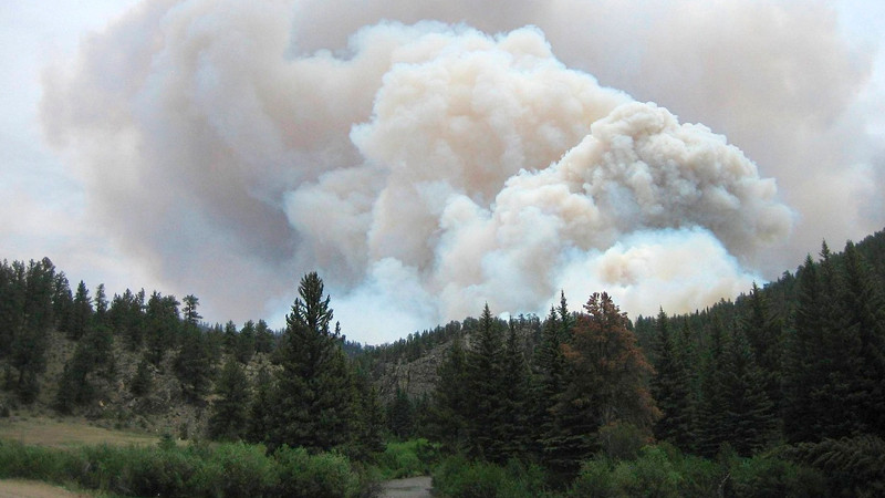Hay 95 incendios forestales activos en México: Conafor 