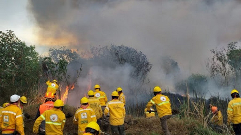 No se descarta que empresas inmobiliarias provoquen incendios en México: AMLO 