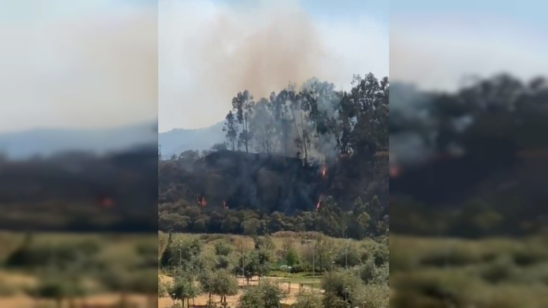 Incendio consume pastizales cerca de parque La Mexicana en Santa Fe, en Ciudad de México 