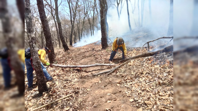 Hay 120 incendios forestales activos en 20 estados: Conafor 