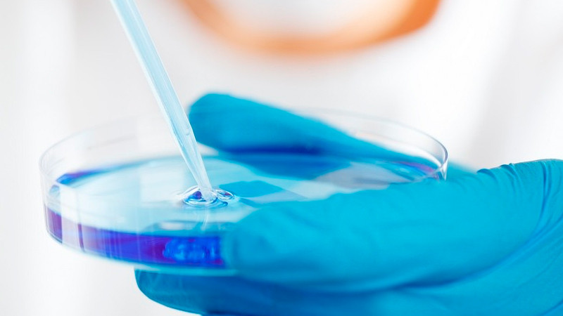 OMS lanza CoViNet, red global para estudiar los coronavirus 